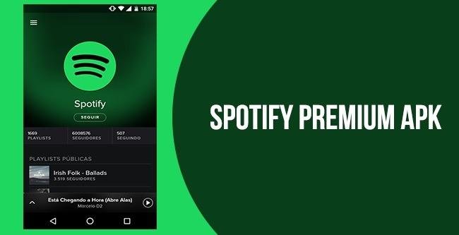 Spotify mod apk 8.5 installer